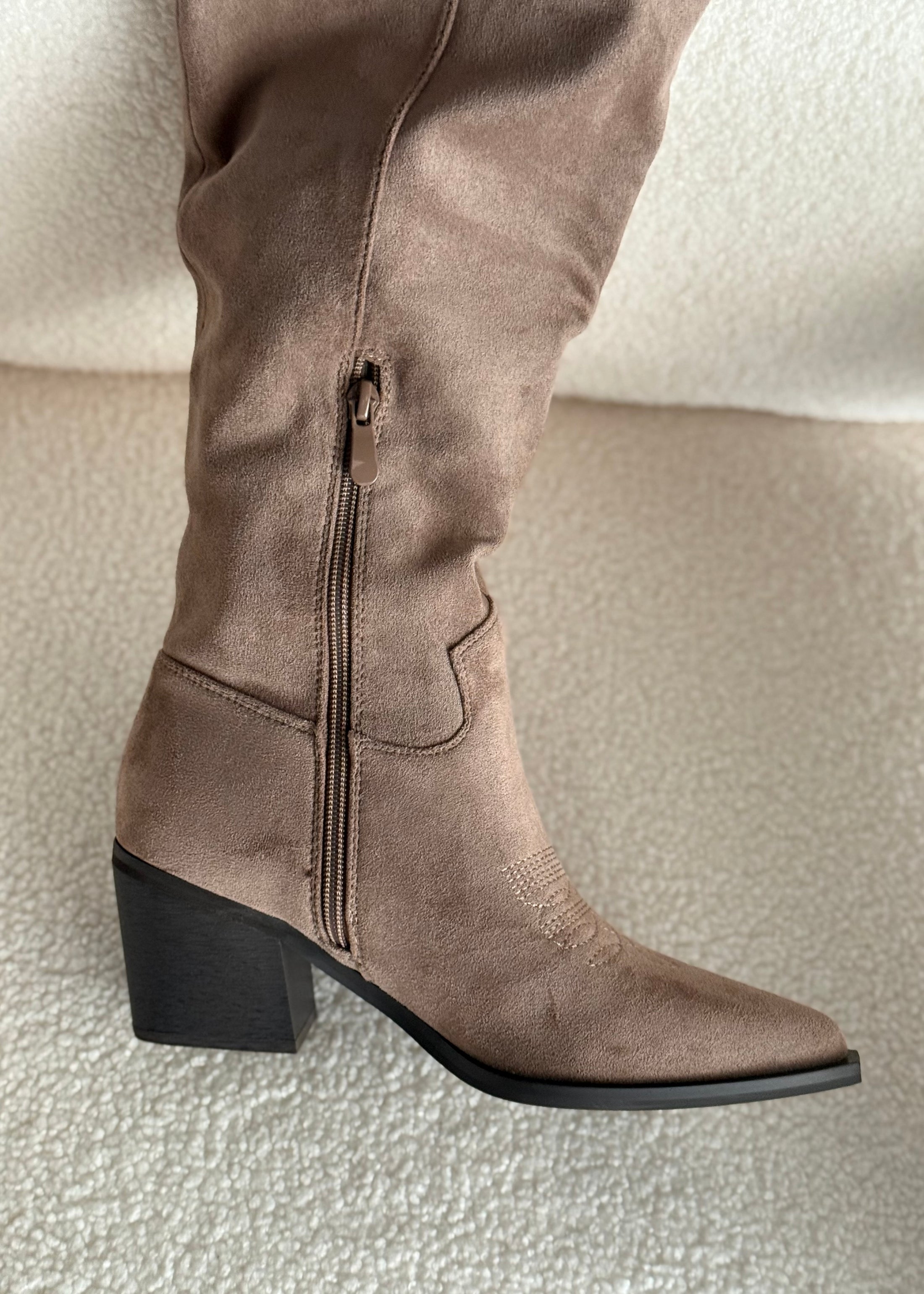 Stivali texani THEVICE in suede taupe