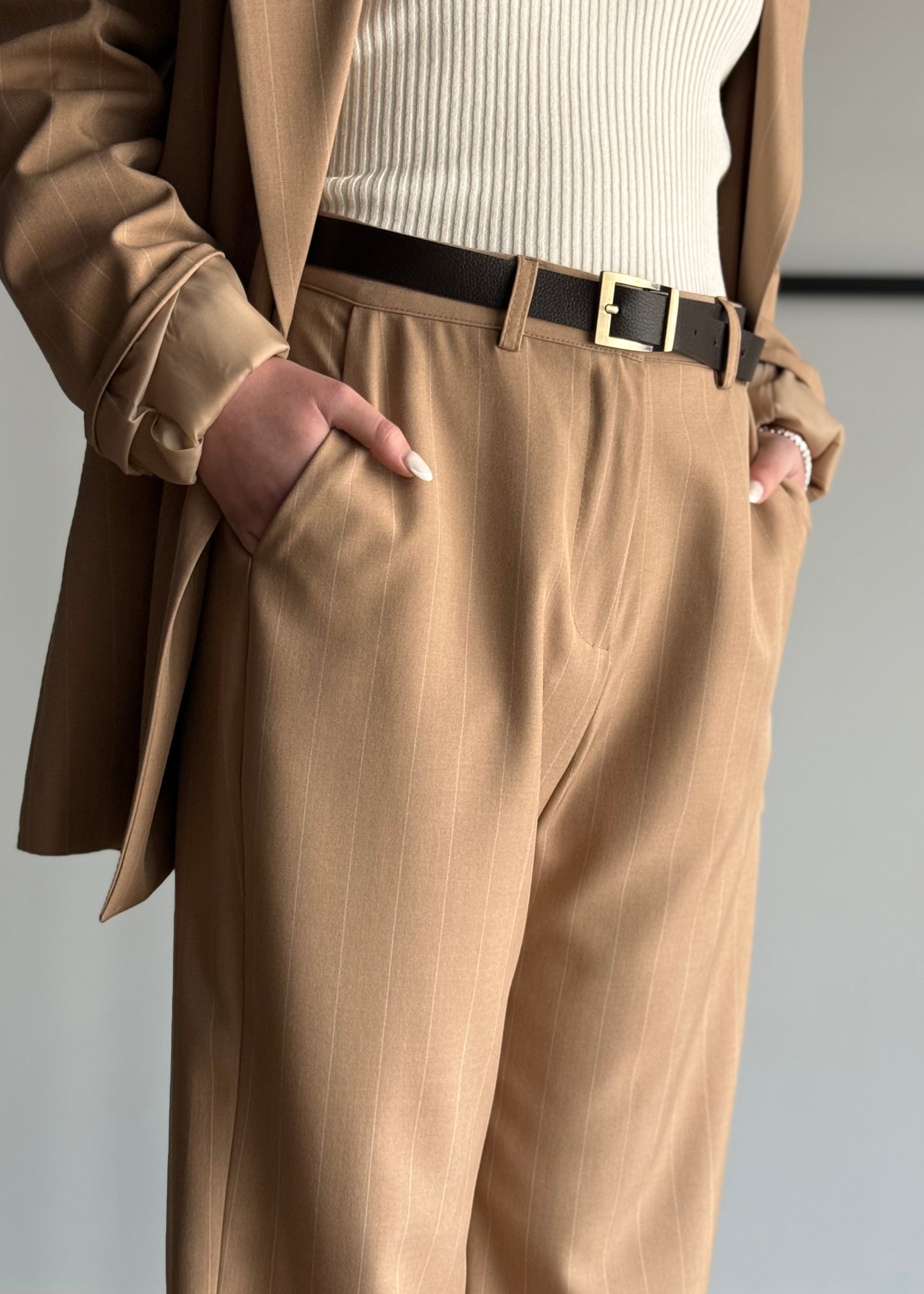 Pantalone ZAHJR a palazzo gessato